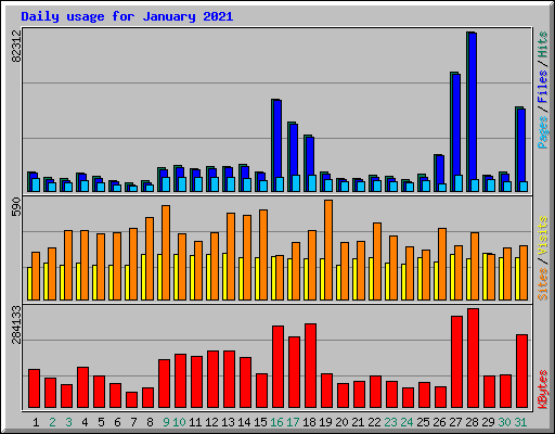 Daily usage for January 2021