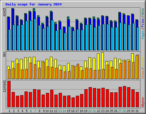 Daily usage for January 2024