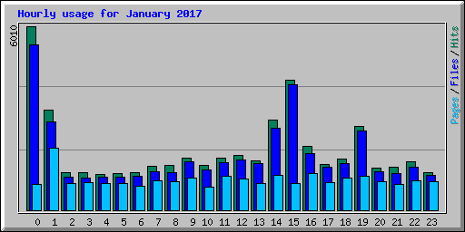 Hourly usage for January 2017
