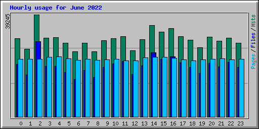 Hourly usage for June 2022