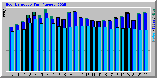 Hourly usage for August 2023