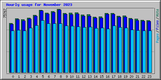 Hourly usage for November 2023