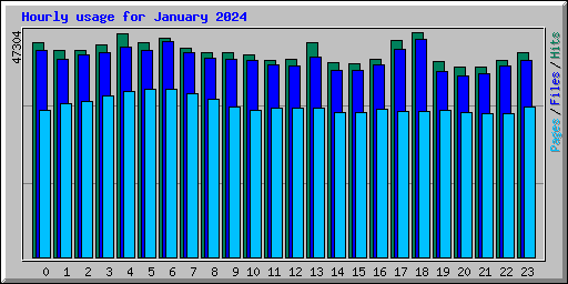 Hourly usage for January 2024