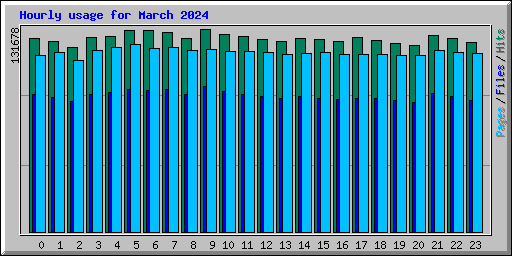 Hourly usage for March 2024