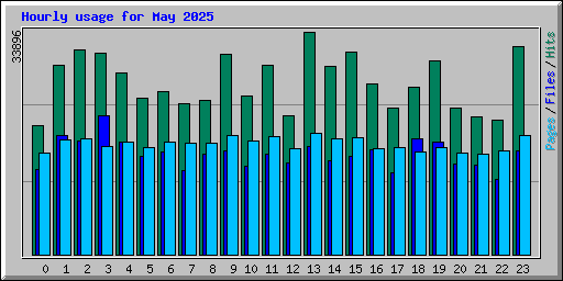 Hourly usage for May 2025