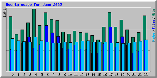 Hourly usage for June 2025