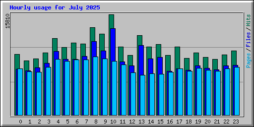 Hourly usage for July 2025